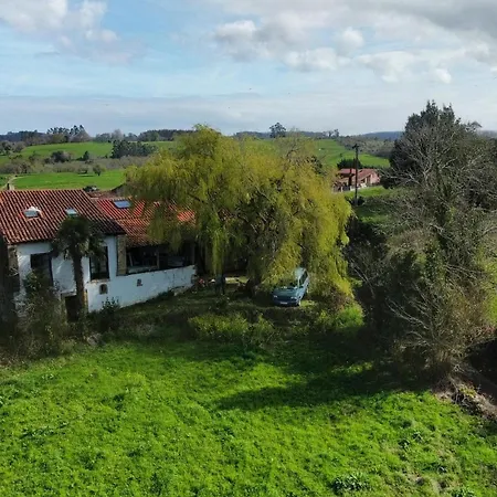 Willow Tree House - Hidden In The Perfect Place * Noriega
