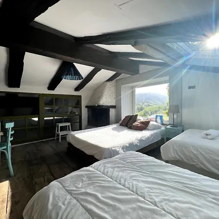 Willow Tree House - Hidden In The Perfect Place