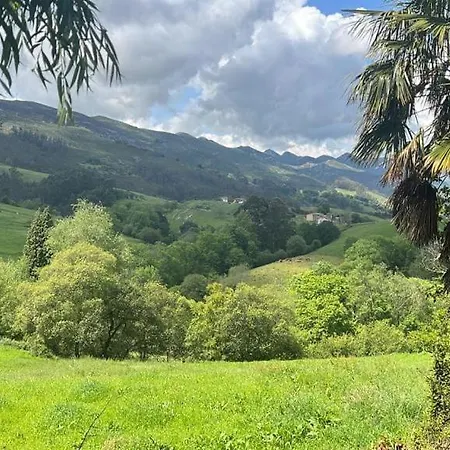 Villa Willow Tree House - Hidden In The Perfect Place