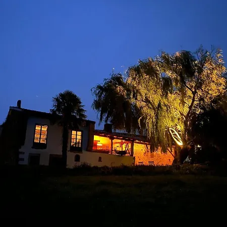 Willow Tree House - Hidden In The Perfect Place Noriega