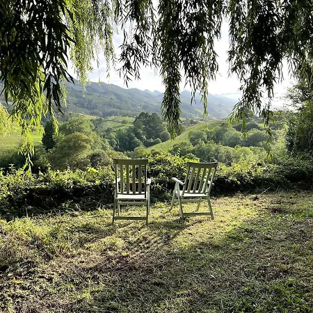 Willow Tree House - Hidden In The Perfect Place Noriega