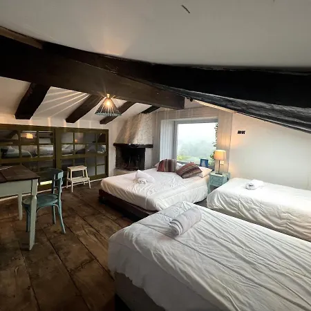 Willow Tree House - Hidden In The Perfect Place