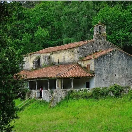 Willow Tree House - Hidden In The Perfect Place *